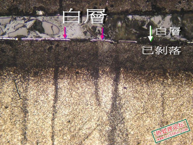 N白層.jpg