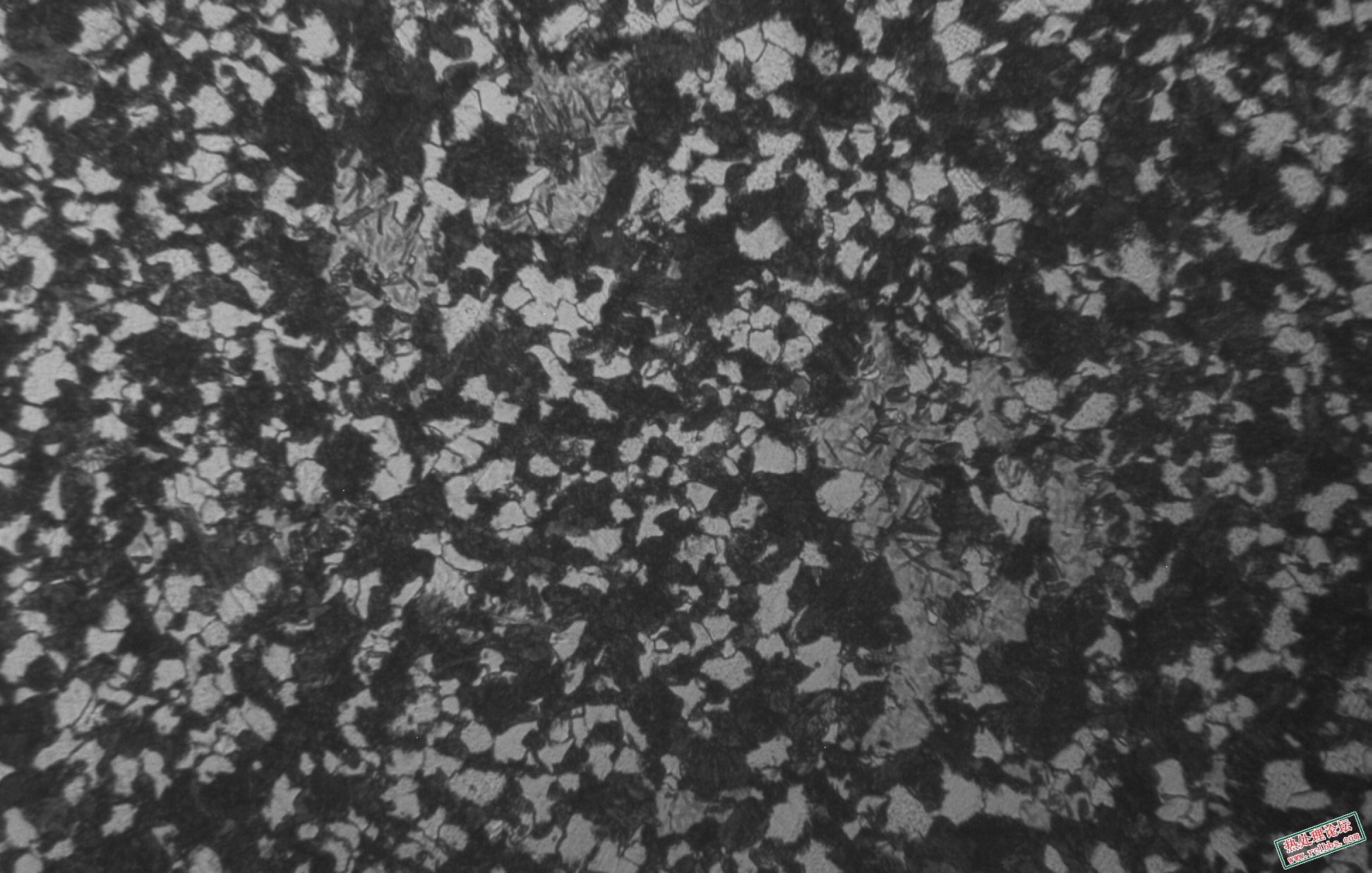 29_666954_6f5a71435249d91.jpg