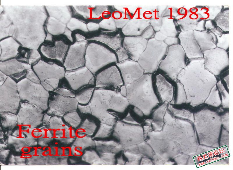 Ferrite 200X.jpg
