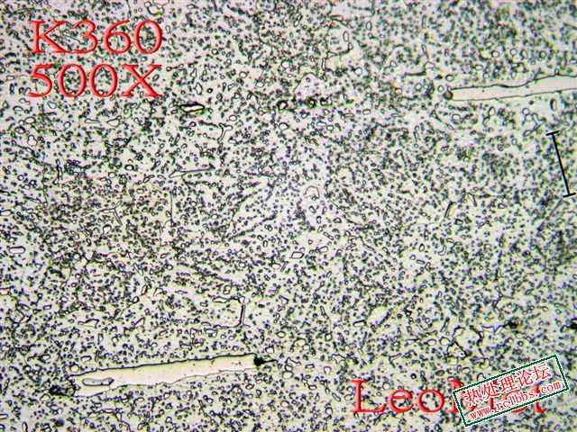 K360 D1.jpg