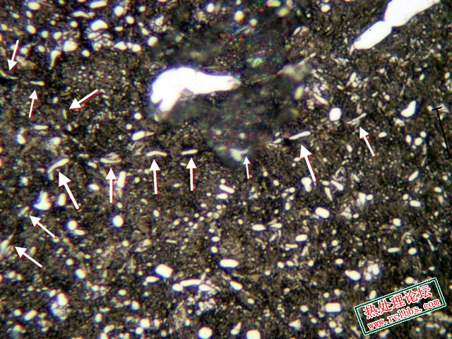 B2379E4.jpg