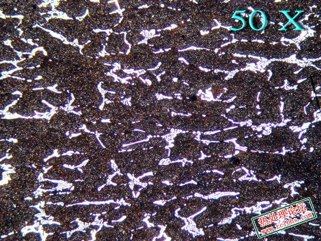 B2379A.jpg