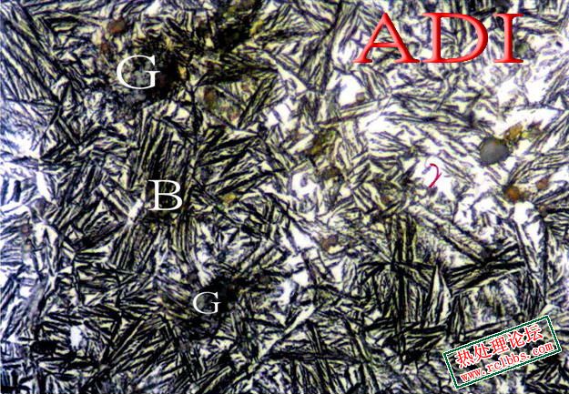ADI 1.jpg