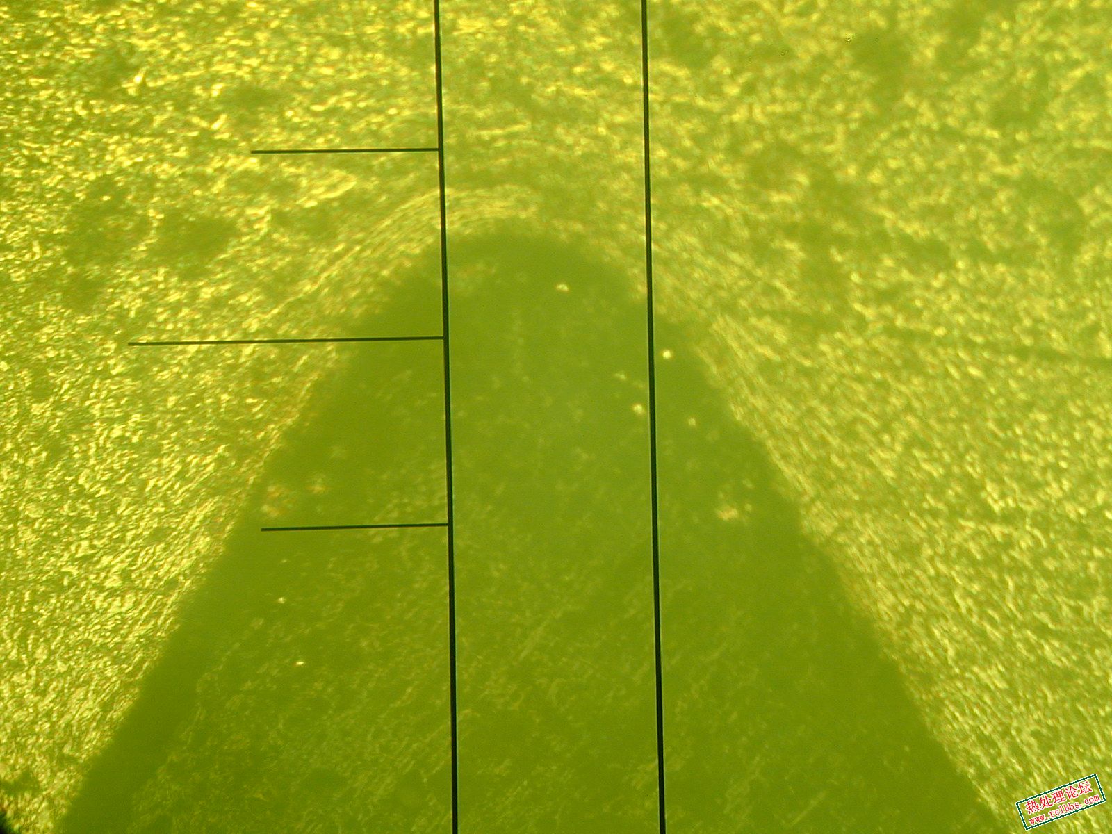 DSCN0003.jpg