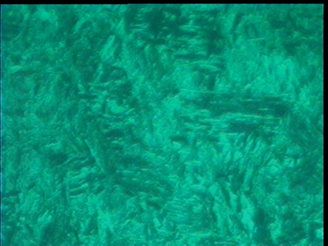 cap06.jpg