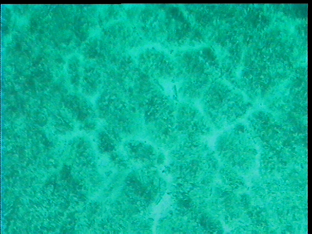 cap03.jpg