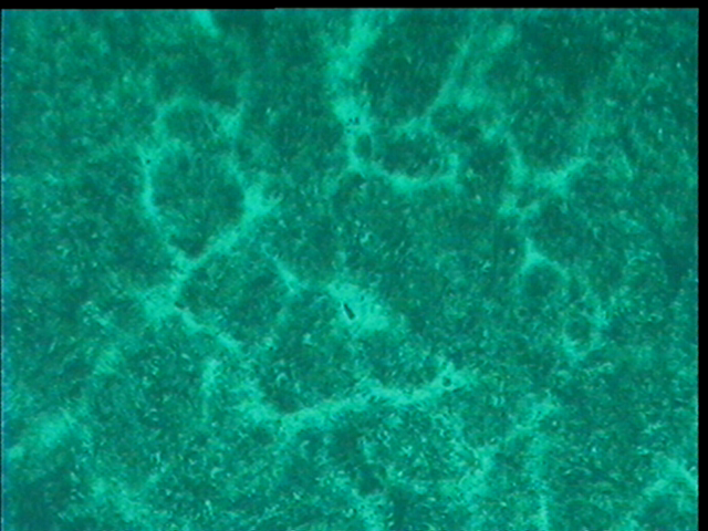cap04.jpg
