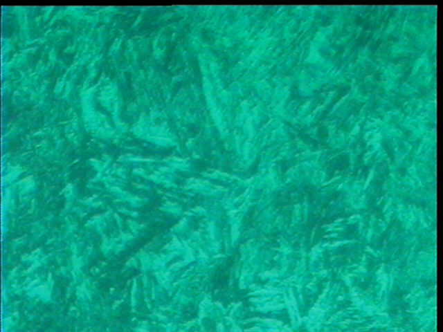 cap05.jpg