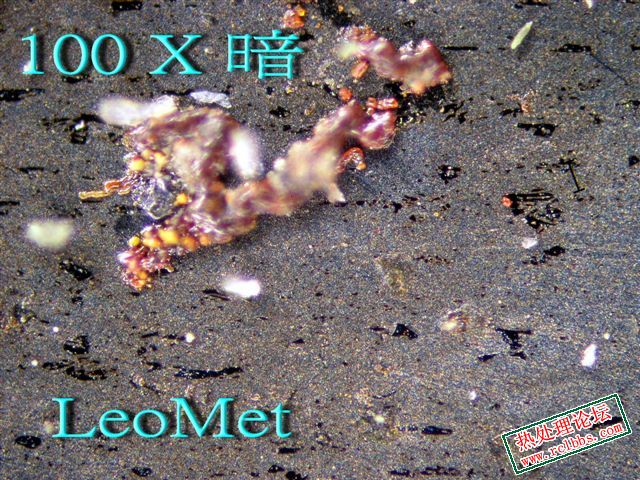 K100_暗2.jpg
