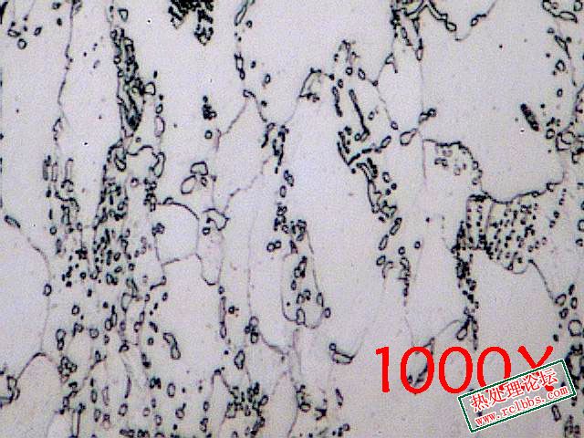 3.13.1000X2 拷贝.jpg