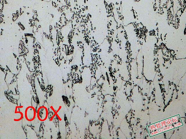3.13.500X2 拷贝.jpg