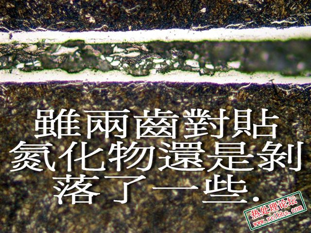 氮化齒對貼.jpg