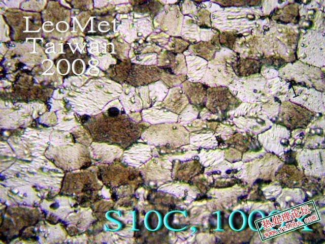 S10C_E.jpg