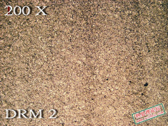 DRM 2_C.jpg