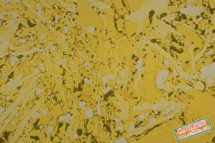 图片50.jpg