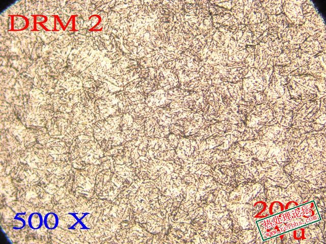 DRM 2_Dx.jpg