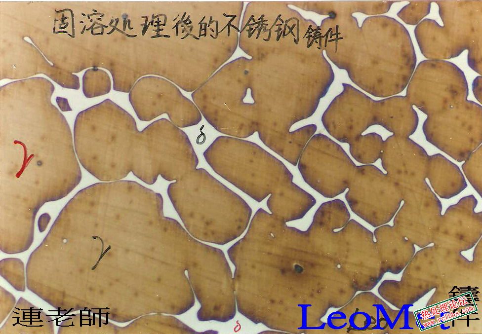 不銹鋼固溶后.jpg