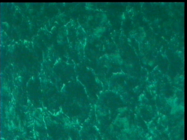 cap07.jpg