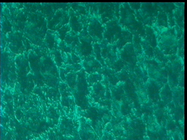 cap09.jpg