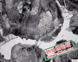 5.jpg-300.jpg