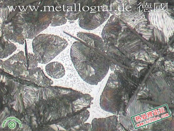 Steadite 1.jpg