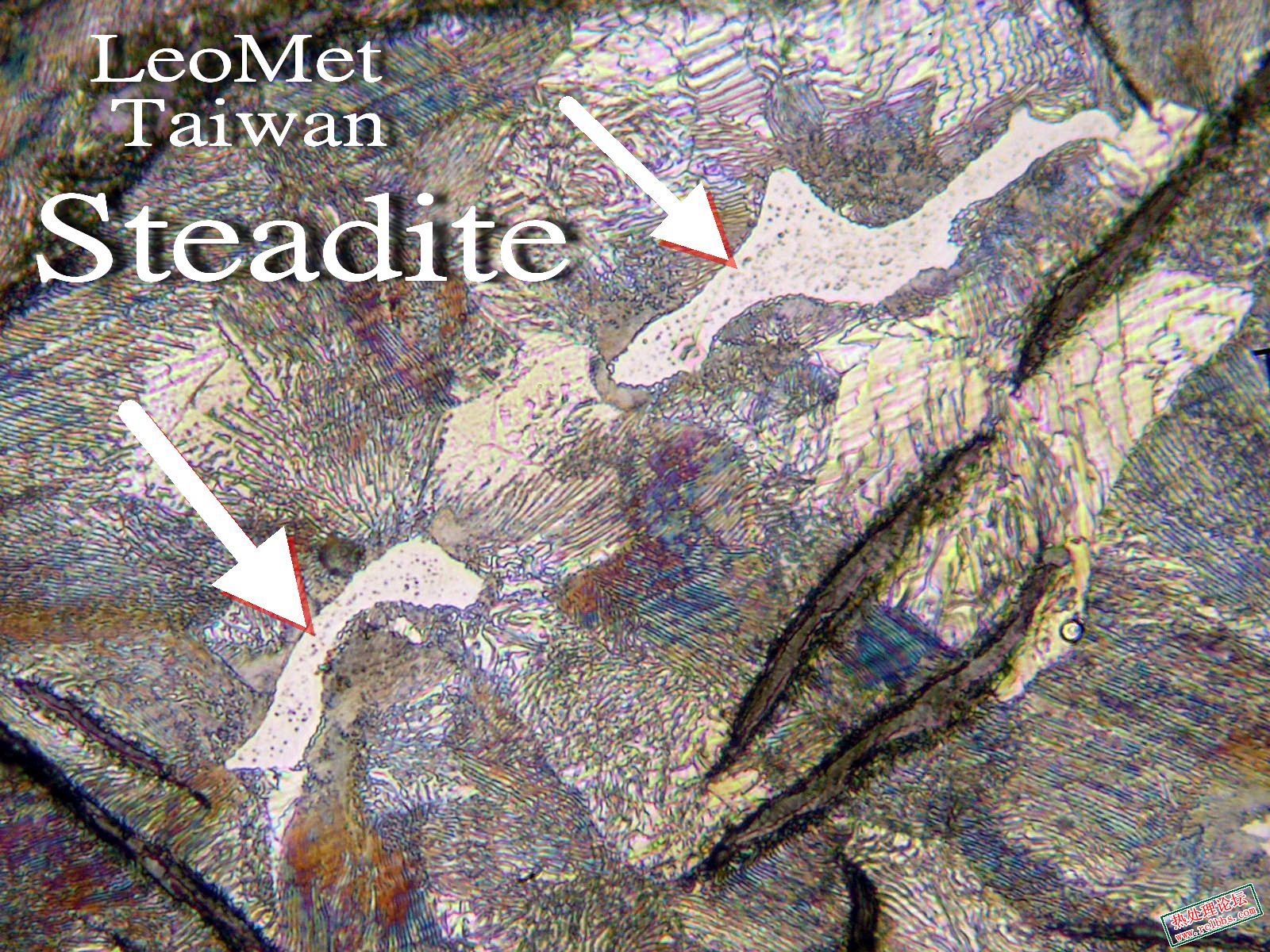 Steadite 8.jpg