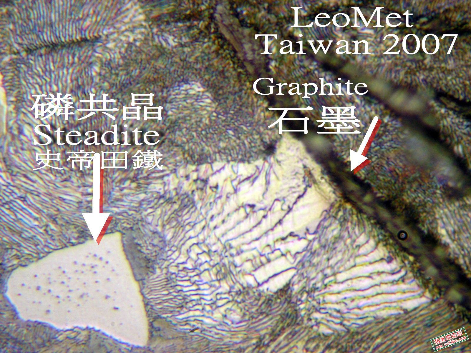 Steadite 6.jpg