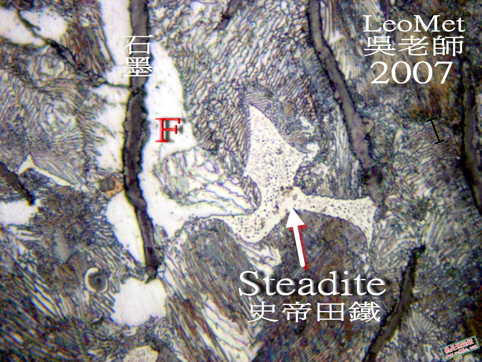 Steadite 7.jpg
