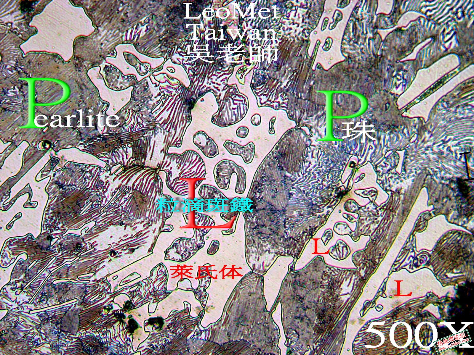 Ledeburite_500.jpg