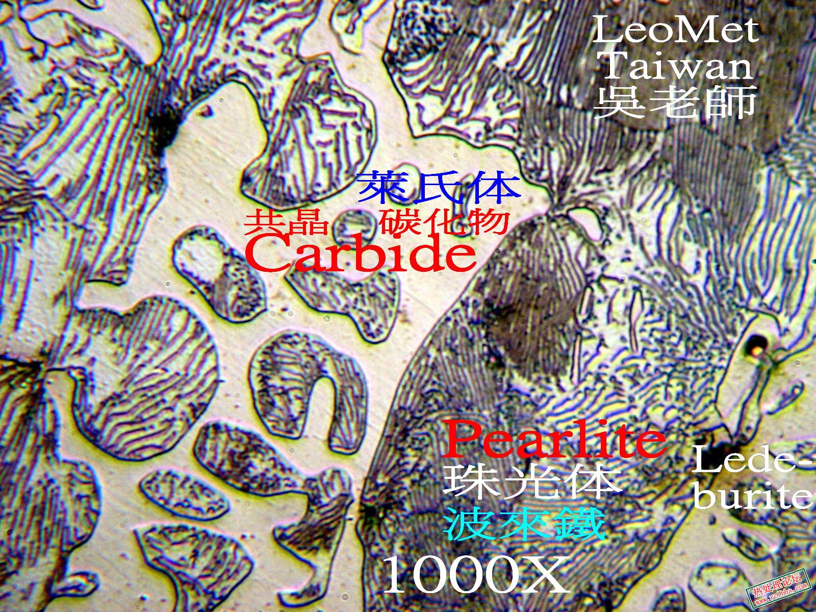 Ledeburite_1k_2.jpg