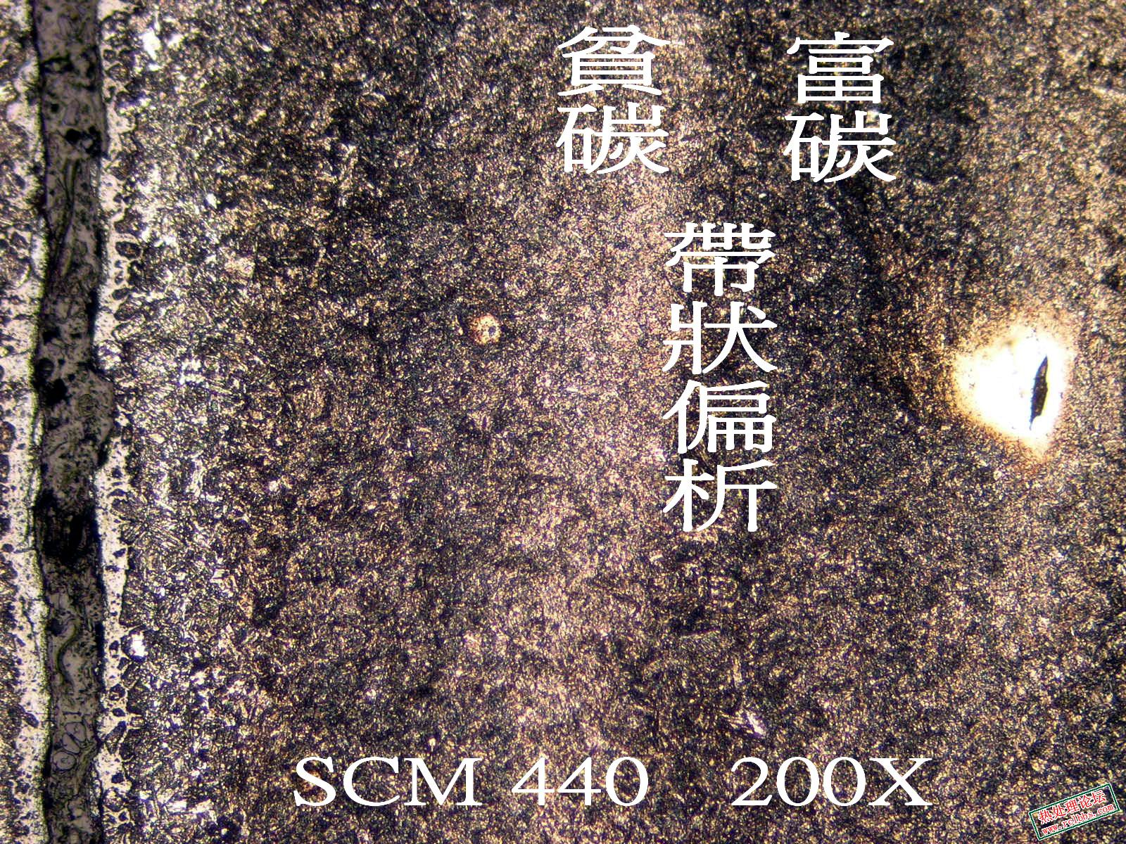 脫200X.jpg