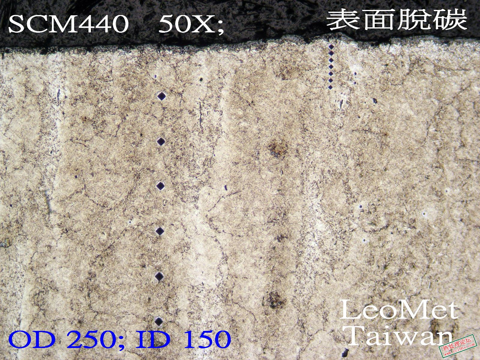 A脫碳 50X.jpg