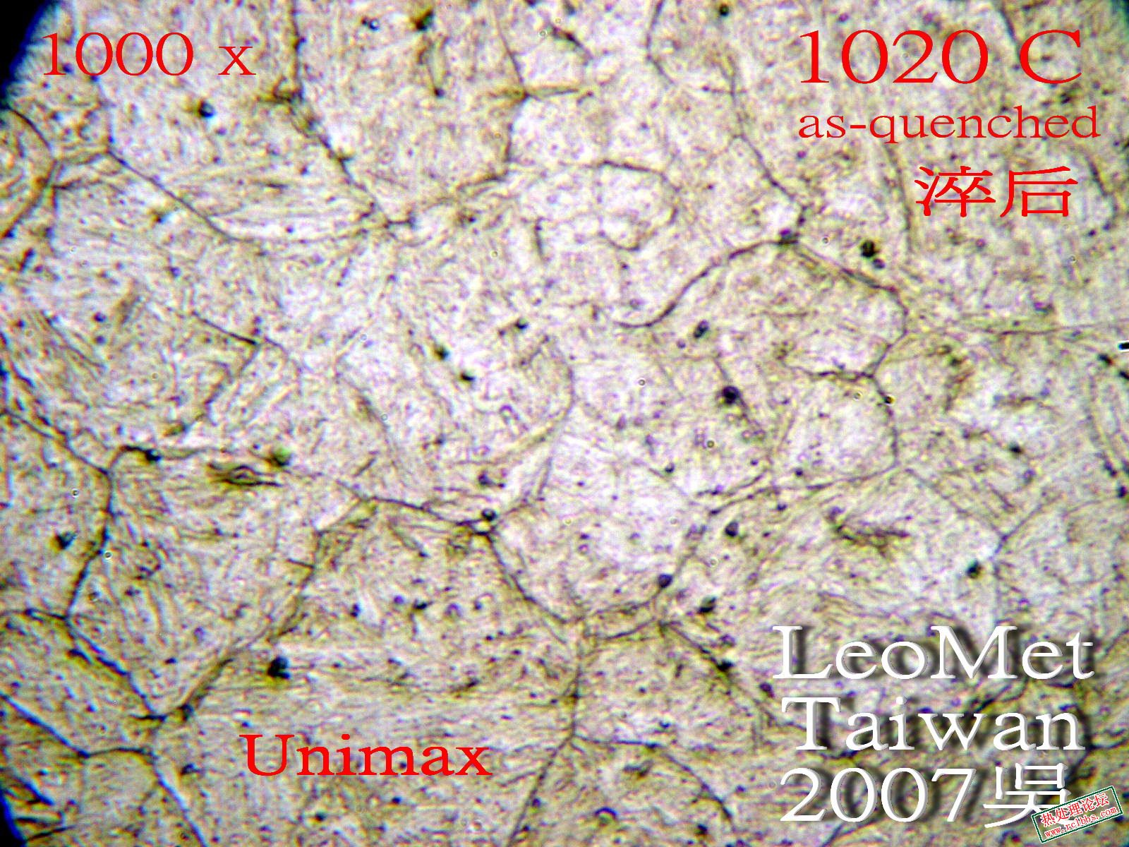 Unimax 淬E3.jpg