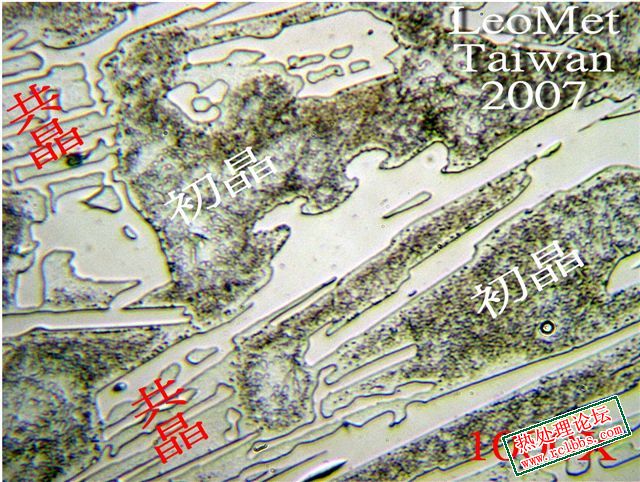 葉片E6.jpg
