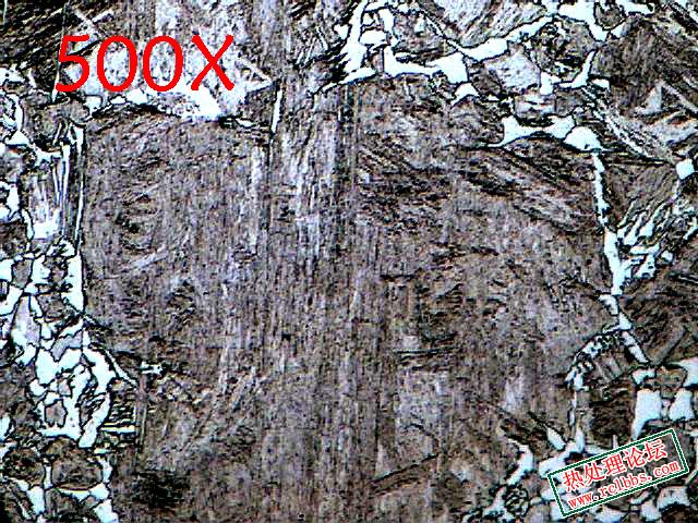 4.8.K4.2.500X2 拷贝.jpg