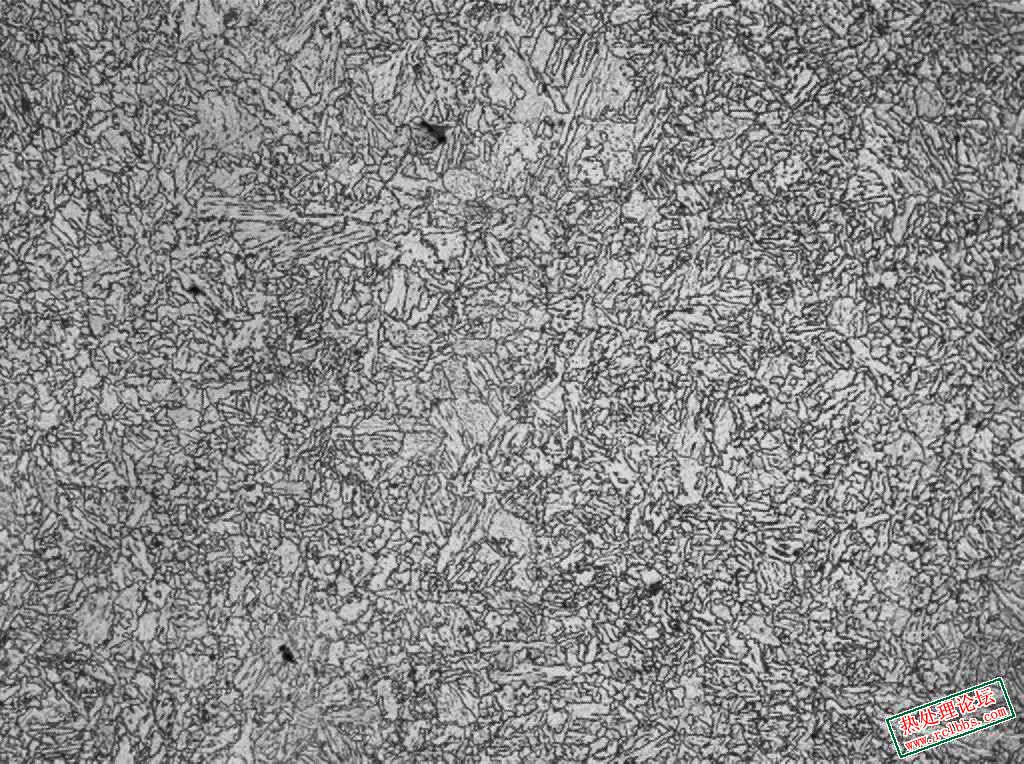 Fig.2.jpg
