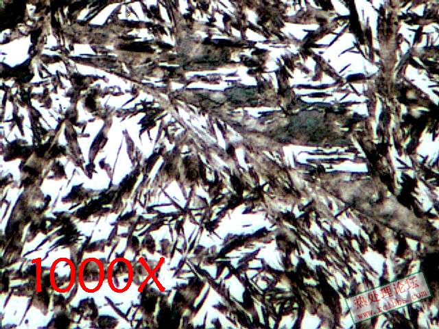 4.9.1000X 拷贝.jpg