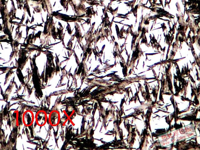4.9.1000X2 拷贝.jpg