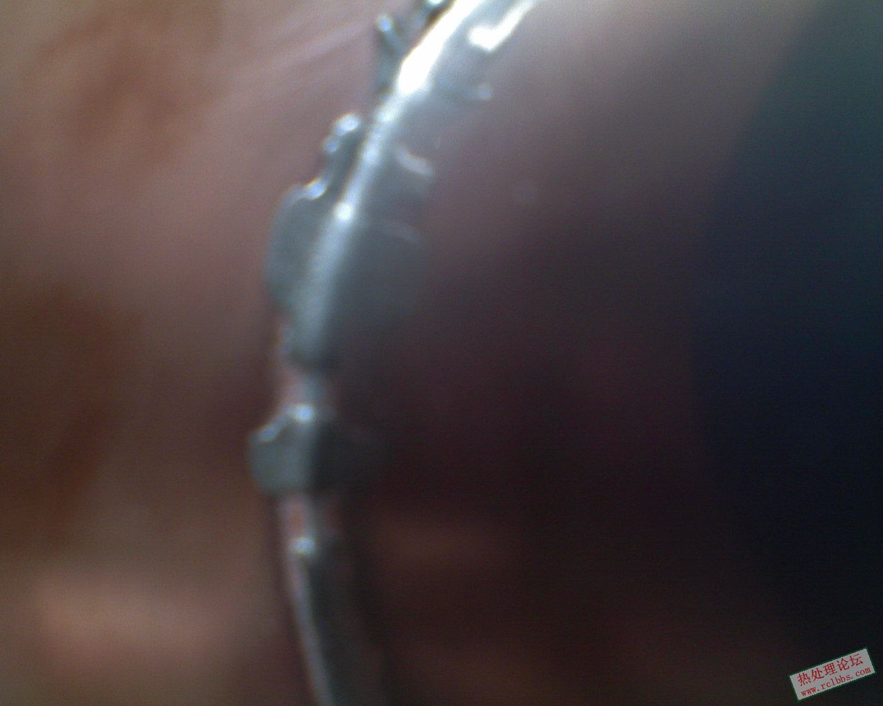DSC00003.JPG