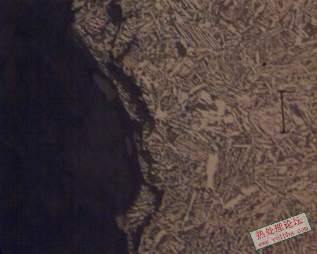 3.端口边缘 500X 20UM.JPG