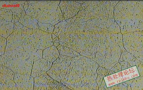 clip_image003.jpg