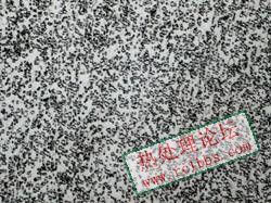 正常球化退火1000倍