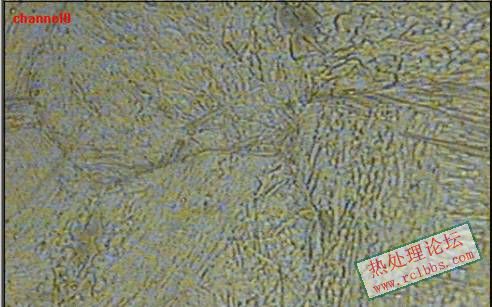 clip_image002.jpg