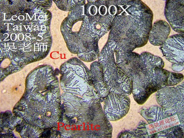 P82_E1.jpg