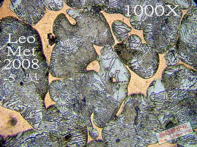 P55_E.jpg