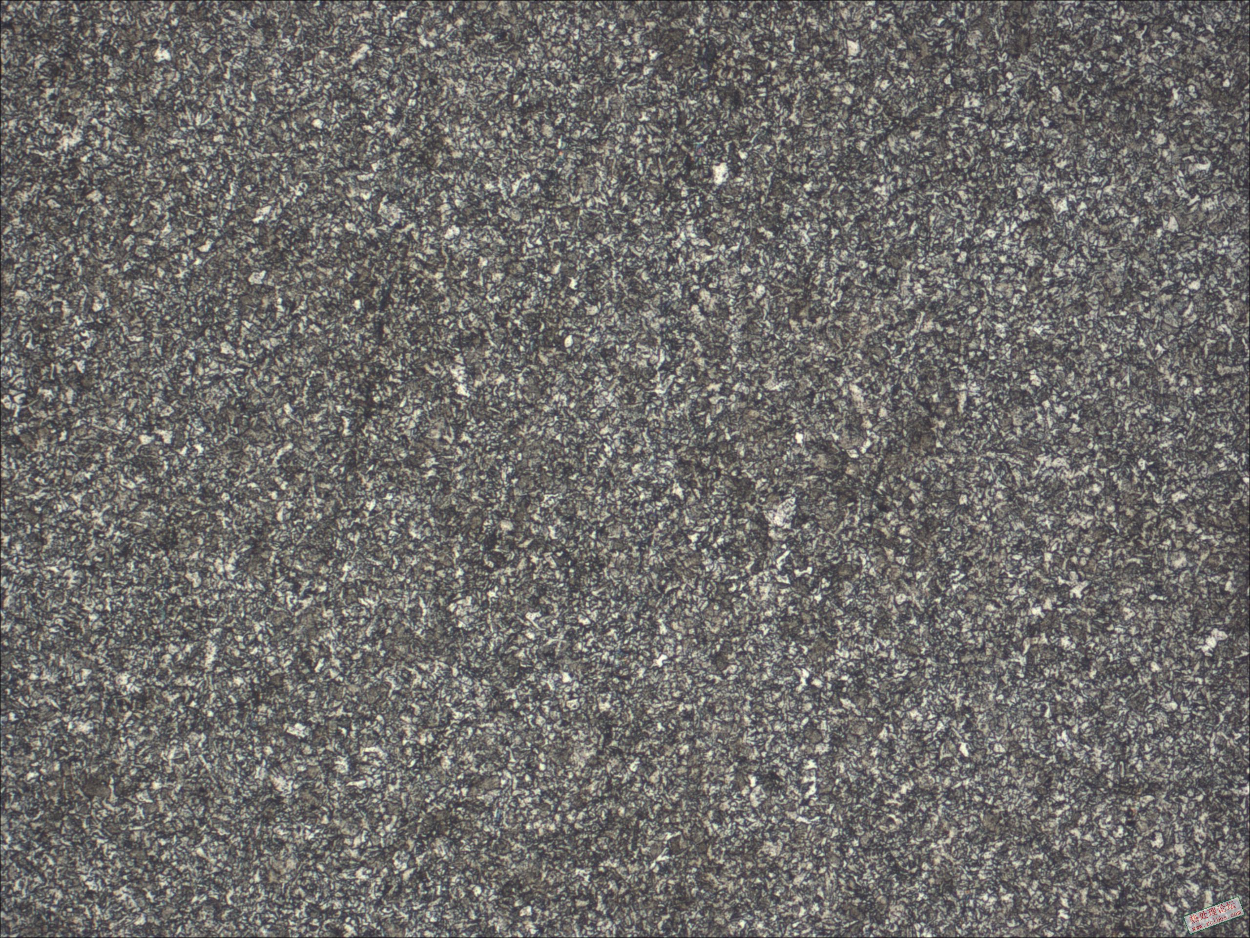 805108-100X.JPG