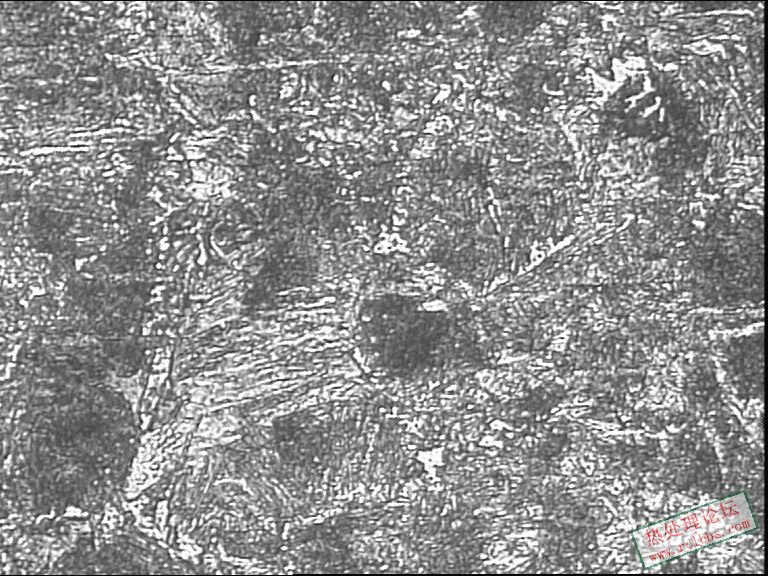 硬度低产品-400X.JPG