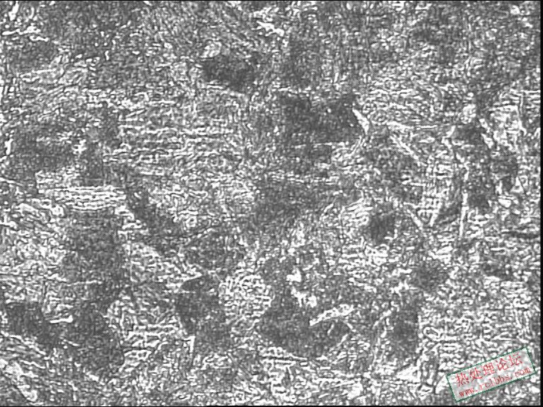 硬度低产品-400X-2.JPG
