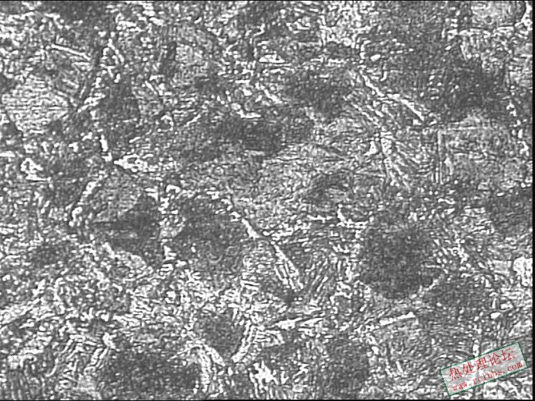 硬度低产品-400X-3.JPG