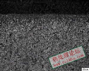 表面_调整大小.jpg